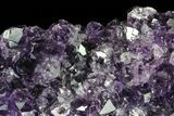 Purple Amethyst Cluster - Uruguay #66820-1